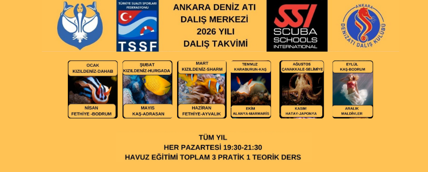 2026 YILI DALIŞ TAKVİMİ 