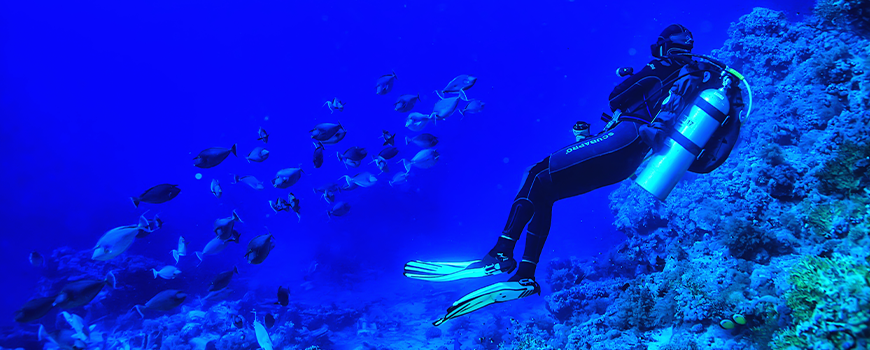 Profesyonel Dalış Eğitimi