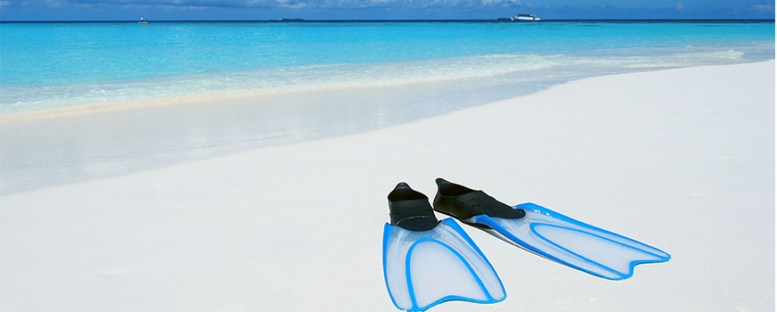 Yurtdışı Dalış Turları